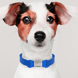 PET ID Identificaciones Personalizadas Para Mascotas