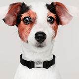 PET ID Identificaciones Personalizadas Para Mascotas