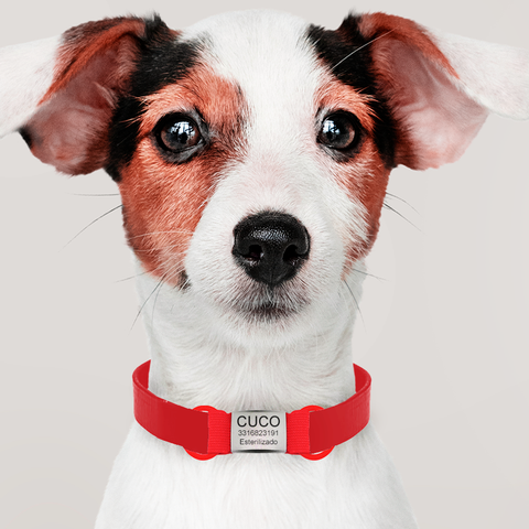 PET ID Identificaciones Personalizadas Para Mascotas