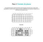 Juego Placa Grande Con Goma + Placa Chica Dog Tag